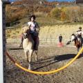 Equitation a la bastide pradines les chevaux du rajal54