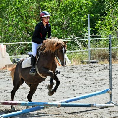 Obstacle equitation